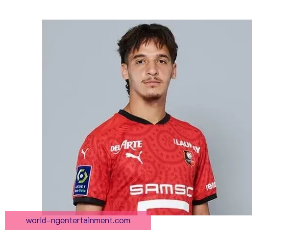 图卢兹俱乐部：探秘法国足球新星崛起的背后故事与未来展望