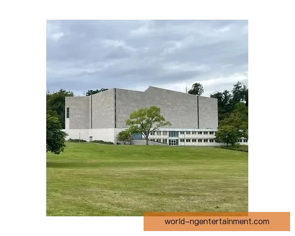 绿色力量崛起之路沃尔夫斯堡俱乐部百年精神与未来蓝图发展愿景