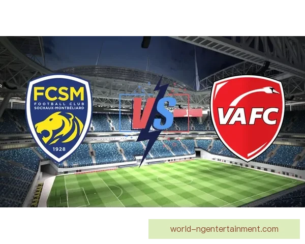 梅斯俱乐部年度精彩活动汇聚与会员专属体验全攻略